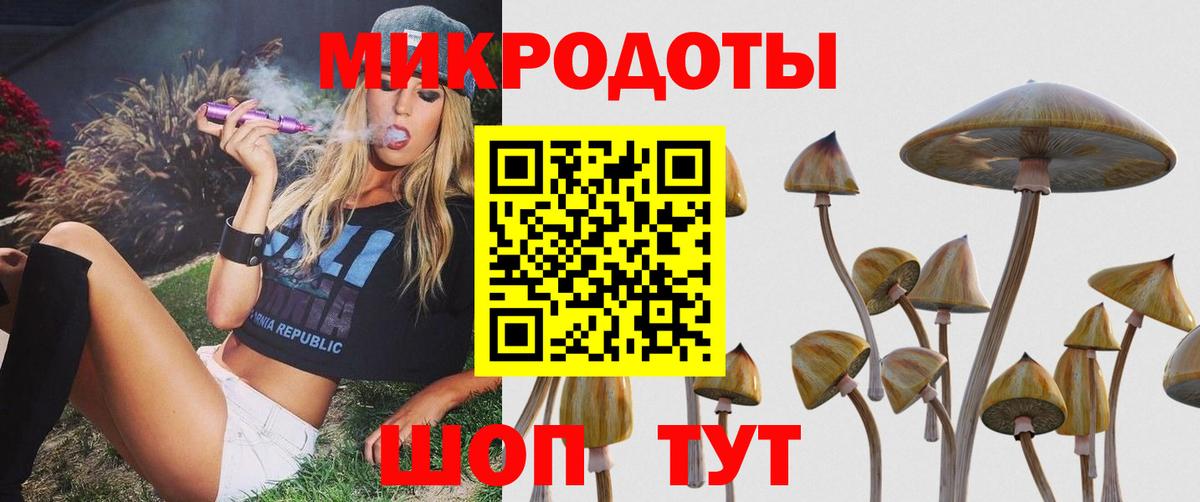 Галлюциногенные грибы ЛСД Гусиноозёрск