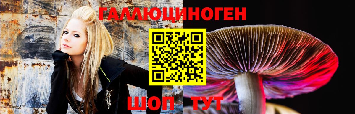 Гусиноозёрск  Галлюциногенные грибы прущие грибы  Вход с VPN  Галлюциногенные грибы ЛСД 